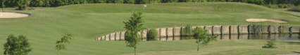 The Bridges GC